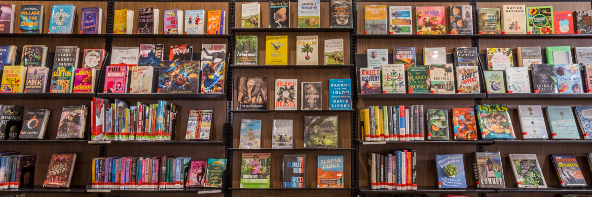 Book shelves