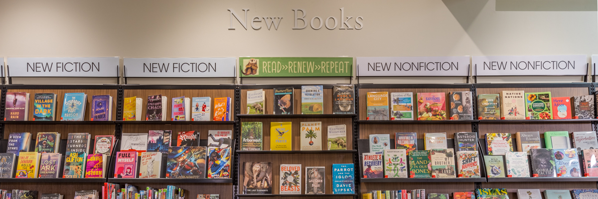 New Books shelf in library