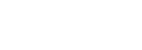 Thomas Ford Library Foundation Logo