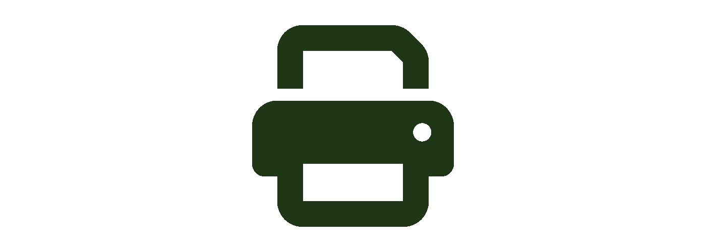 Wireless Printing icon