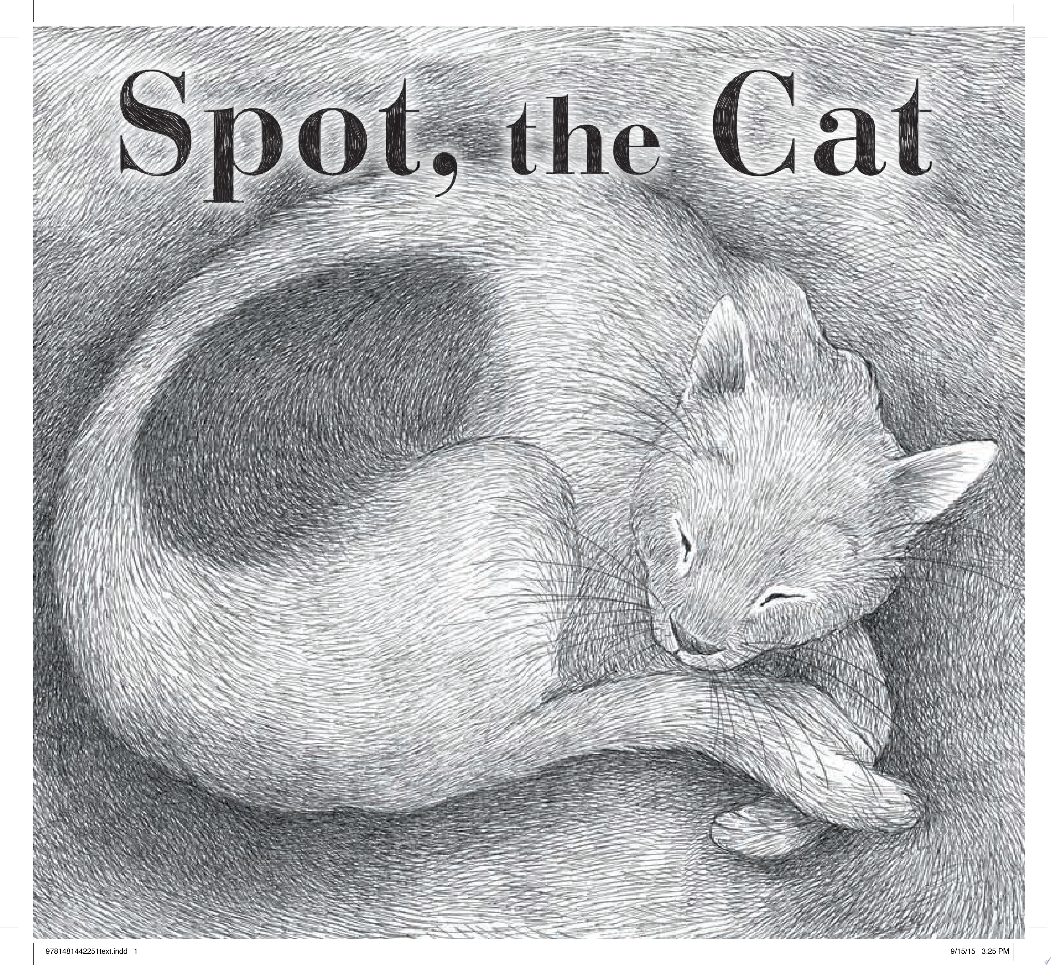 Image for "Spot, the Cat"