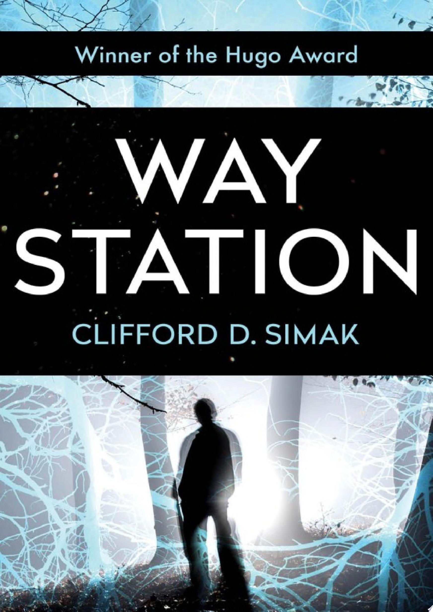 Image for "Way Station"