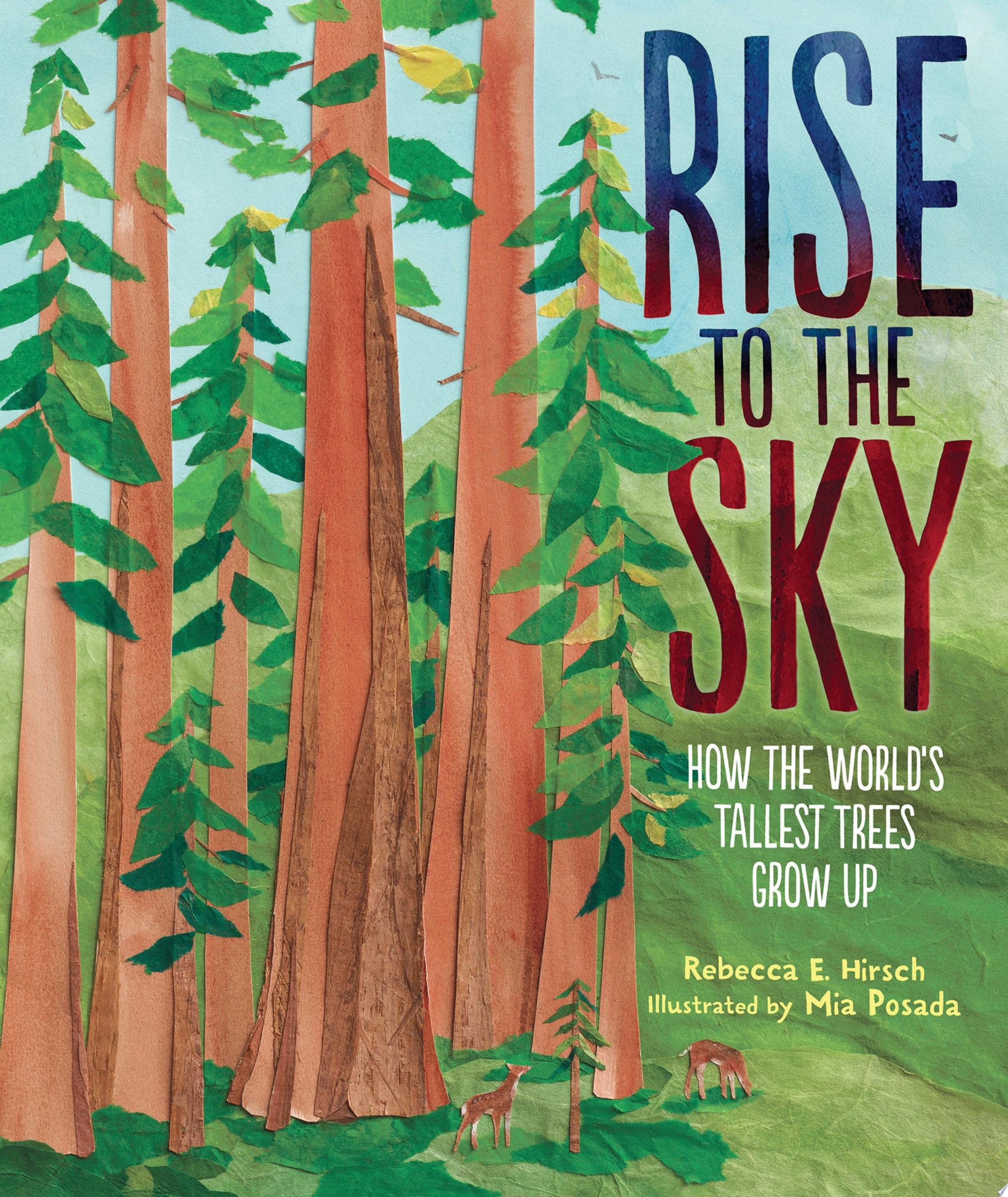 Image for "Rise to the Sky"