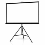 Collapsible Projector Screen