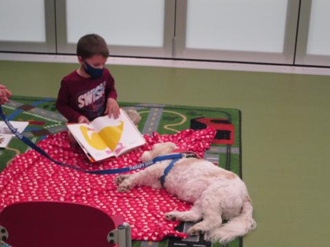 Read to a Therapaws Pet @TFML