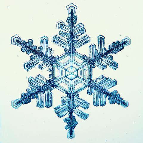 snowflake