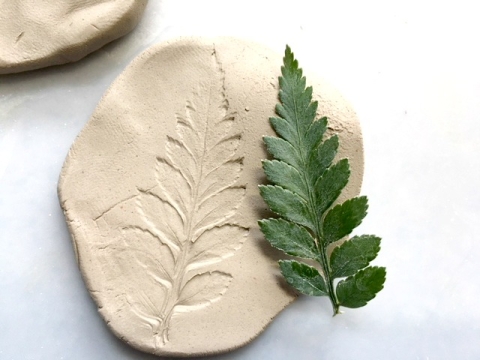 Clay impression from fern leaf