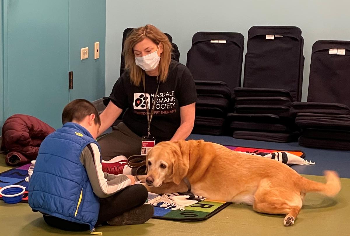 Read to a Therapaws Pet @TFML